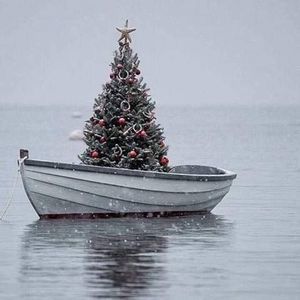 Meet your Posher, Candy